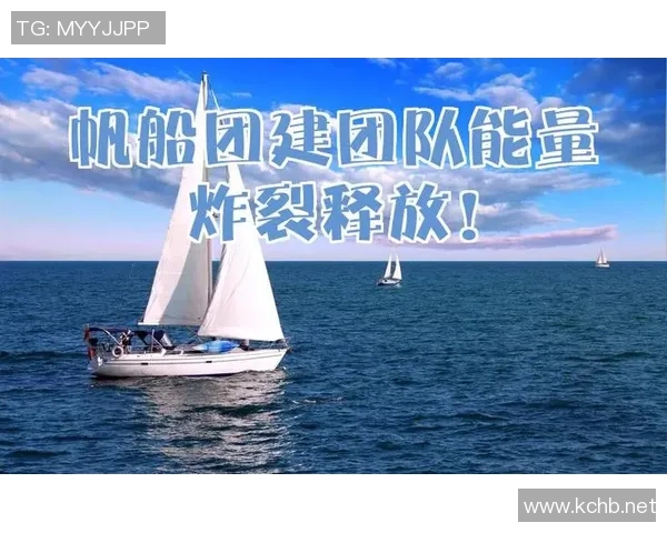 从零开始：篮球团队协作完全攻略