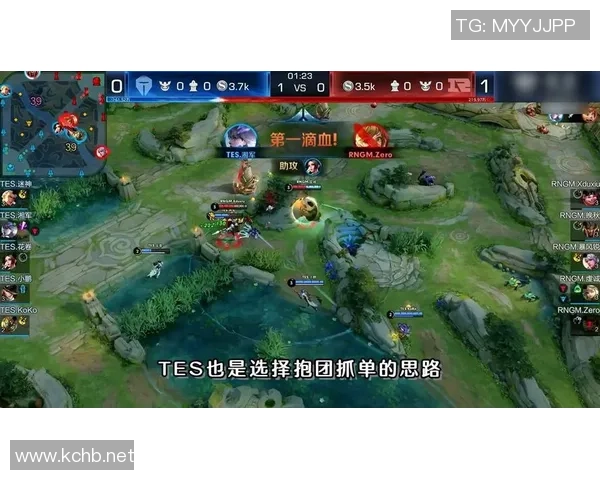 王者荣耀评论：TES的盯防得失