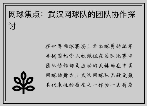 网球焦点：武汉网球队的团队协作探讨